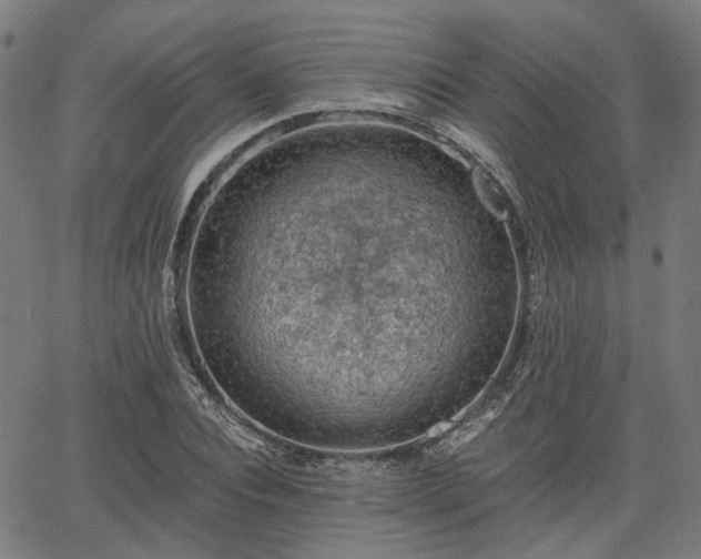 X0000065970928200603101353