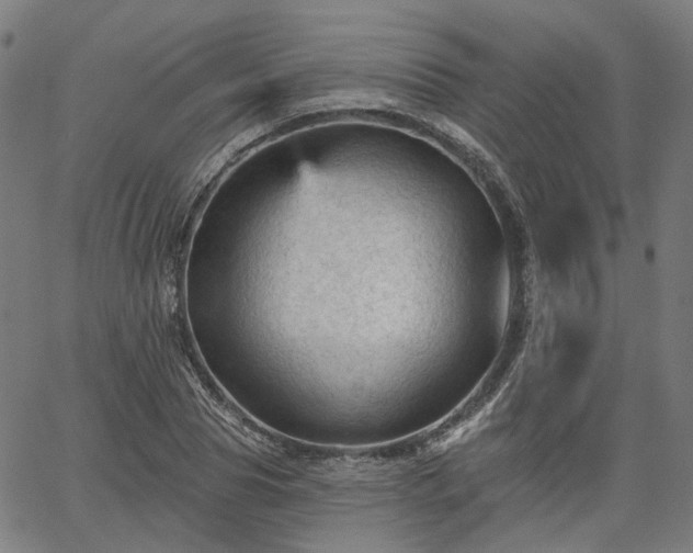 X0000065970929200603101353