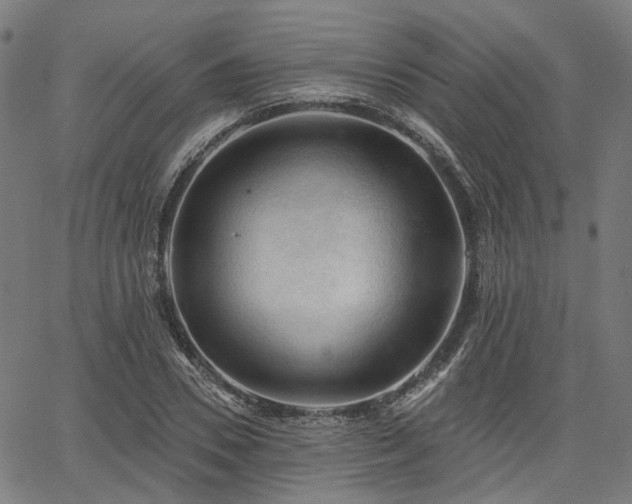 X0000065970930200603101353