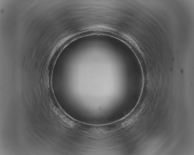 X0000065970931200603101353