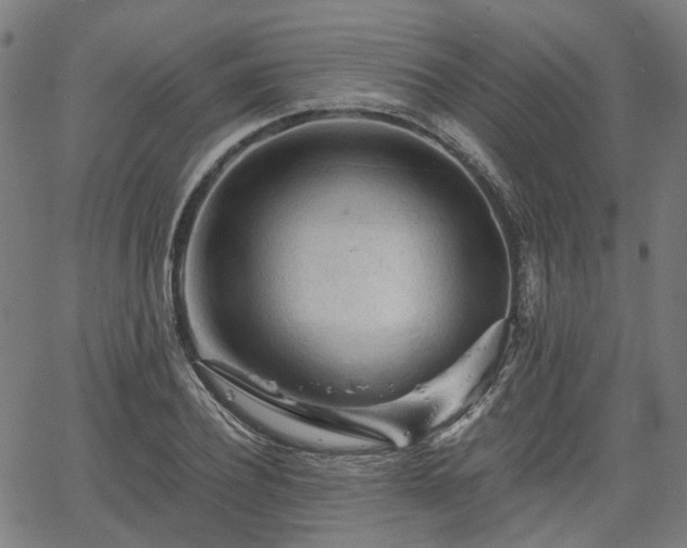 X0000065970932200603101353