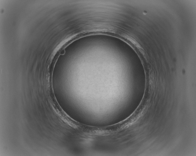 X0000065970933200603101353