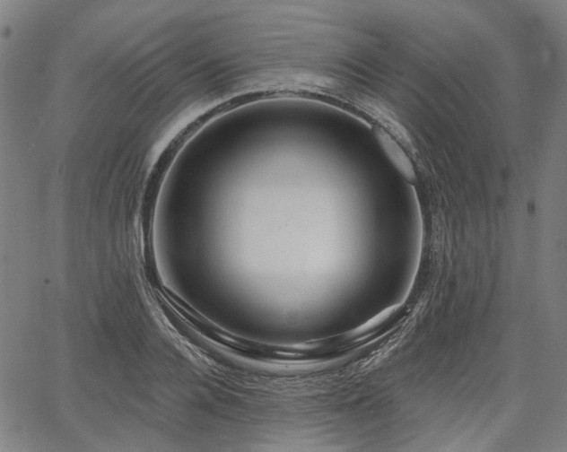 X0000065970936200603101353