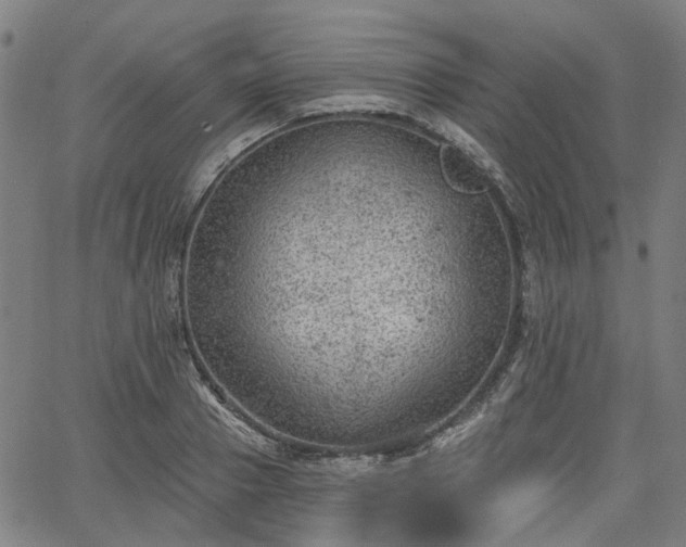 X0000065970937200603101354