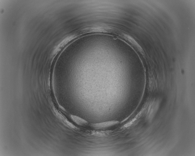 X0000065970938200603101354