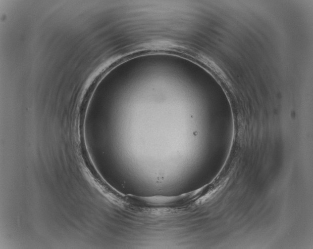 X0000065970939200603101354