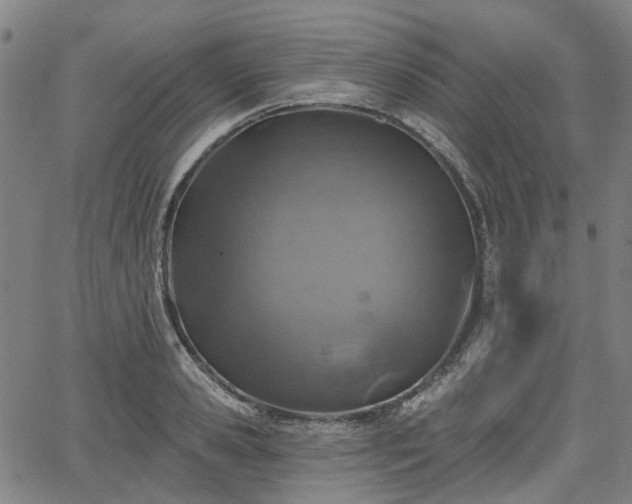 X0000065970941200603101354