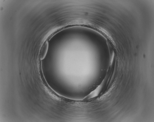 X0000065970942200603101354