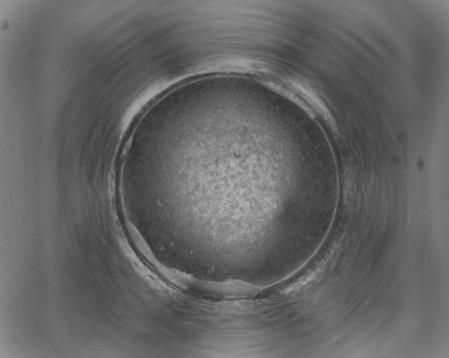 X0000065970944200603101354