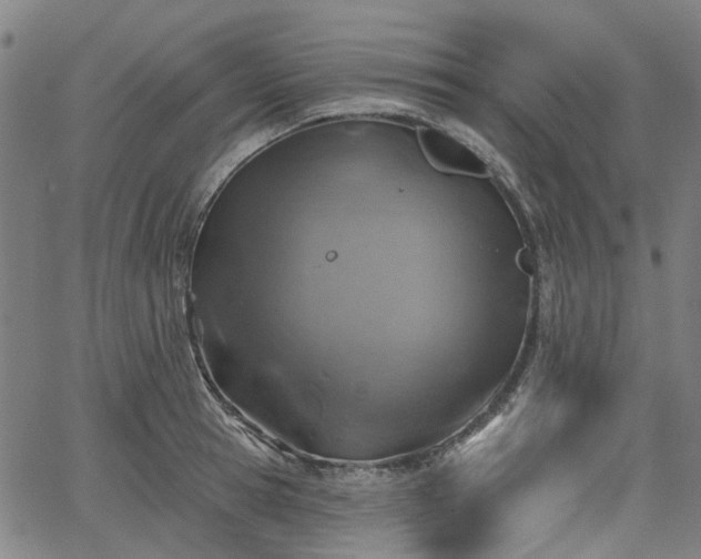 X0000065970945200603101354