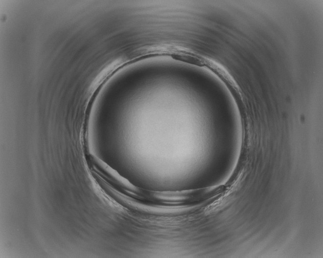 X0000065970946200603101354