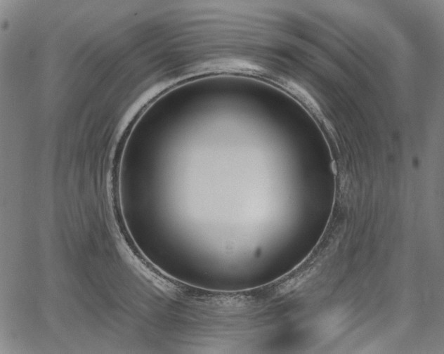 X0000065970947200603101354