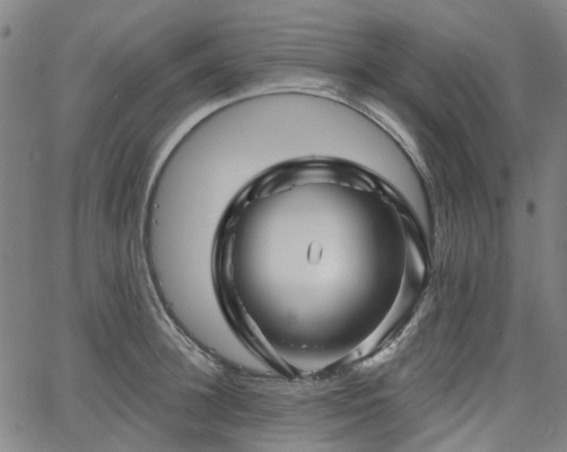 X0000065970948200603101354