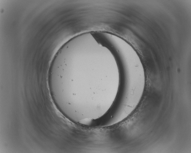 X0000065970950200603101354