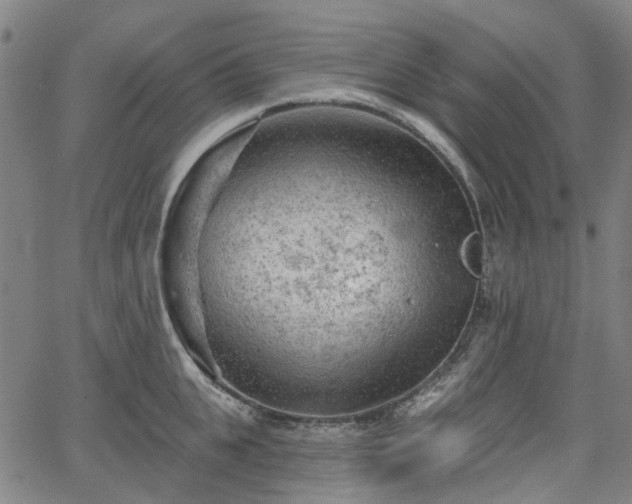 X0000065970951200603101354