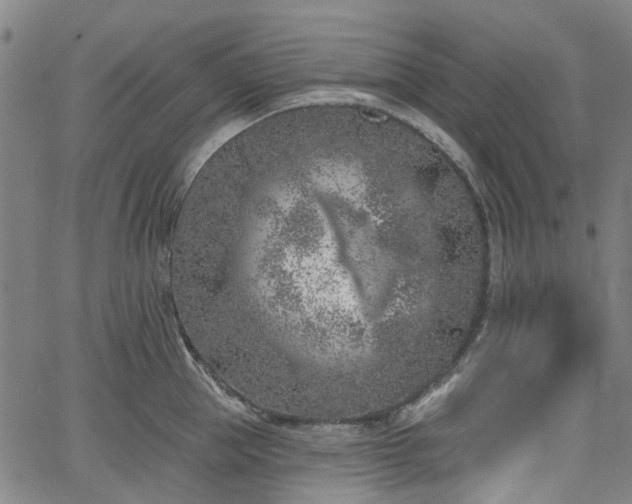 X0000065970953200603101354