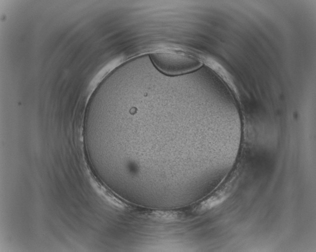 X0000065970954200603101354