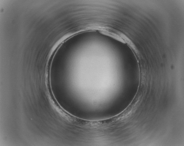 X0000065970955200603101354