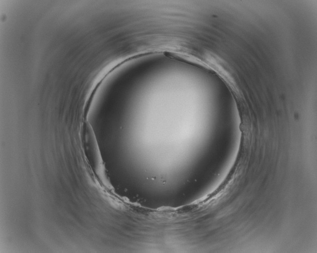 X0000065970956200603101354