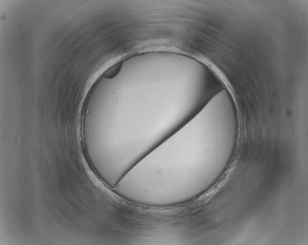 X0000065970957200603101354