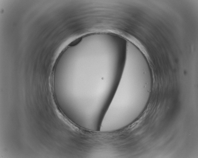 X0000065970958200603101354