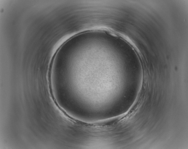 X0000065970959200603101354