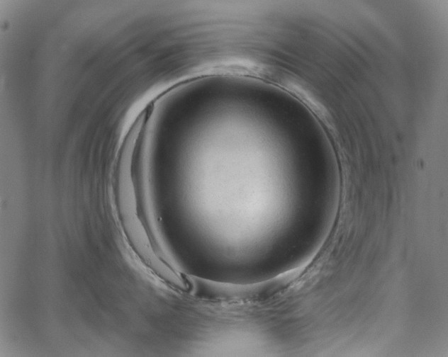 X0000065970960200603101354