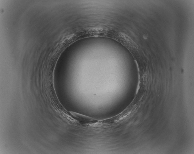 X0000065970961200603101353