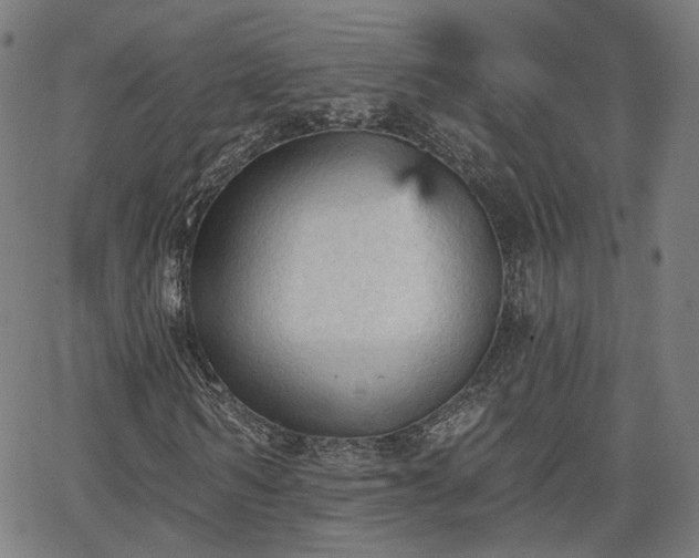 X0000065970962200603101353