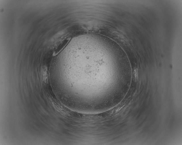 X0000065970963200603101353