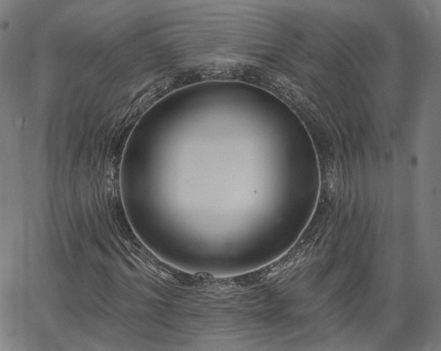 X0000065970964200603101353