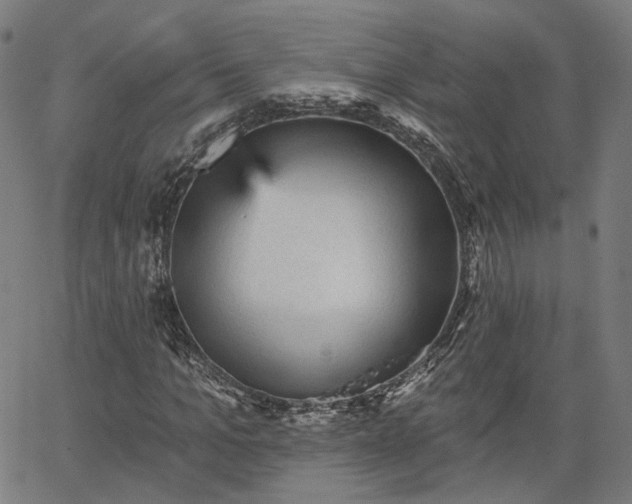 X0000065970965200603101353