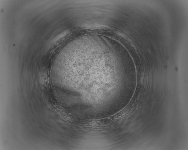 X0000065970966200603101353