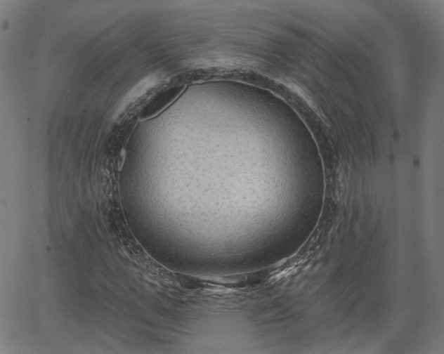 X0000065970967200603101353