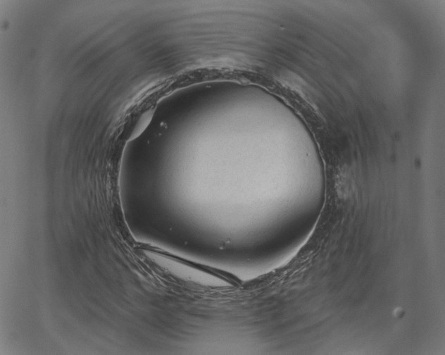 X0000065970968200603101353