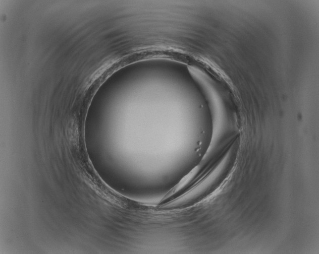 X0000065970969200603101353