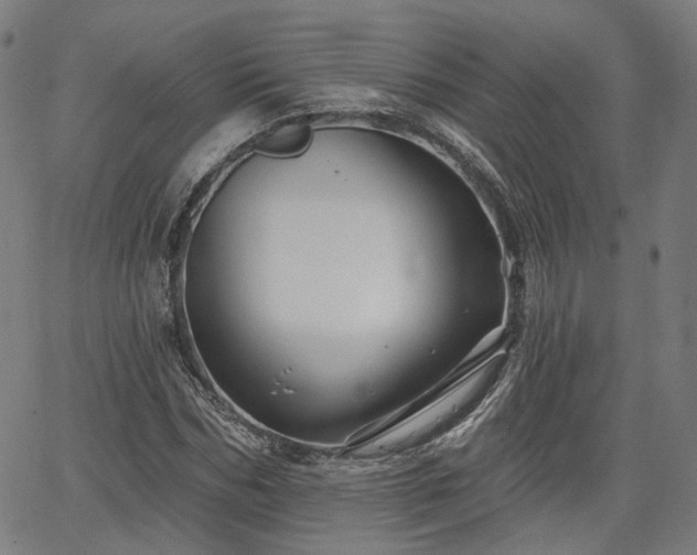 X0000065970970200603101353