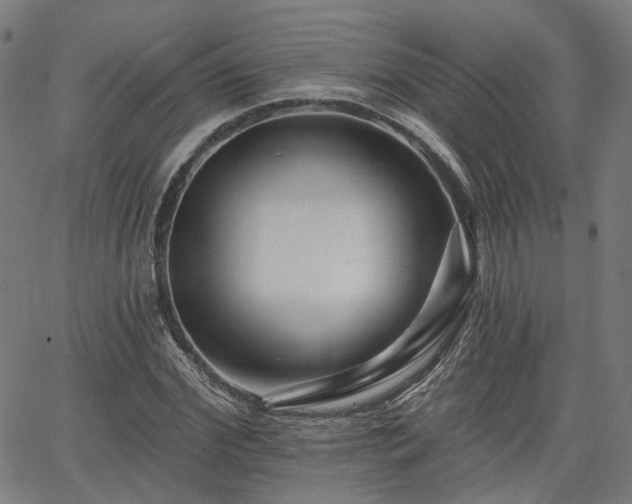 X0000065970972200603101353