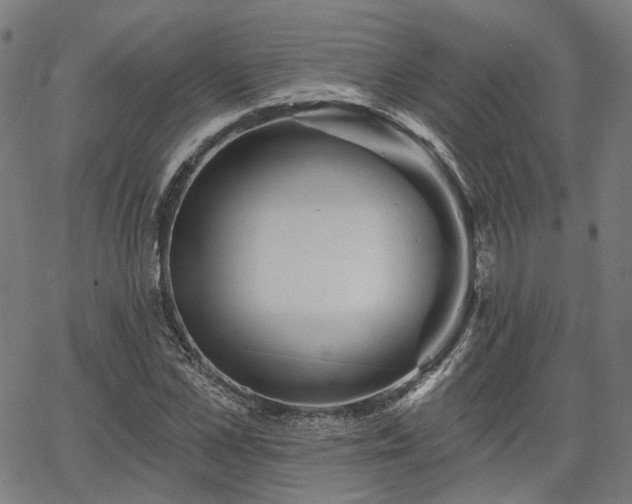 X0000065970973200603101353