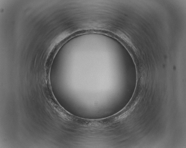 X0000065970974200603101353