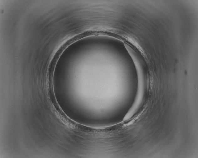 X0000065970976200603101353