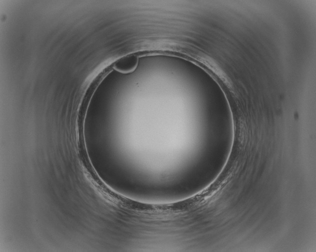 X0000065970980200603101353