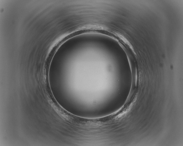 X0000065970981200603101353