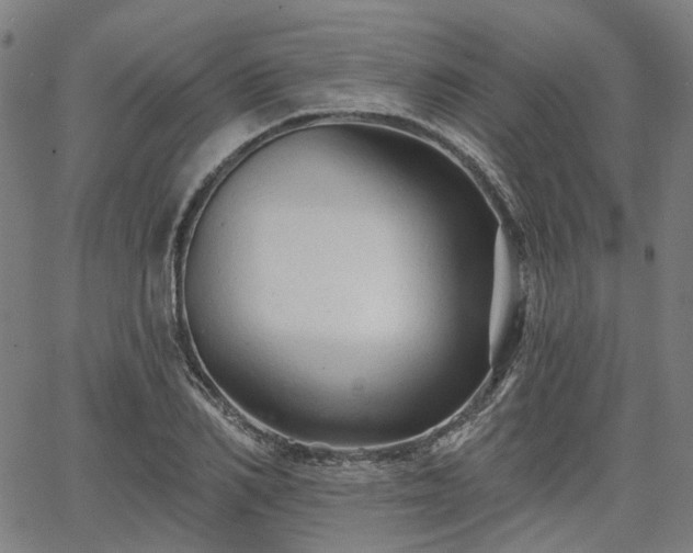 X0000065970982200603101353