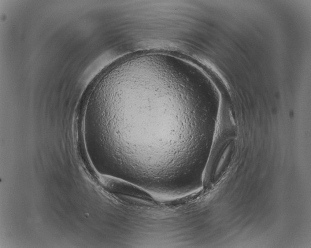 X0000065970983200603101353