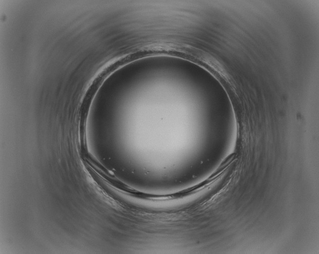 X0000065970984200603101353