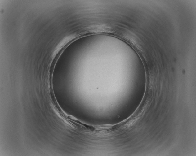 X0000065970986200603101353