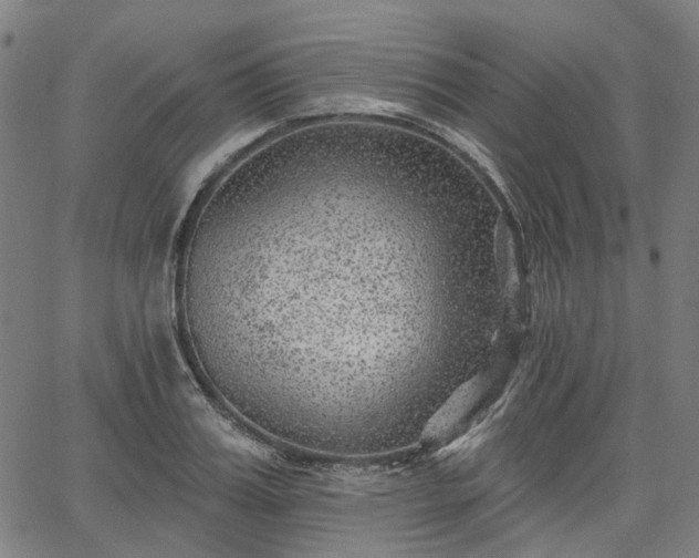 X0000065970987200603101353