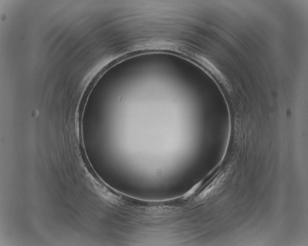 X0000065970988200603101353