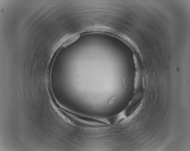 X0000065970989200603101353